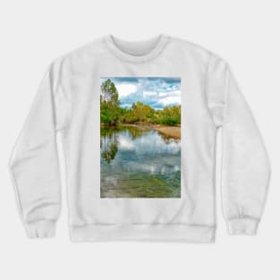 Shut-Ins State Park Study 7 Crewneck Sweatshirt